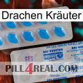 Drachen Kräuter new15